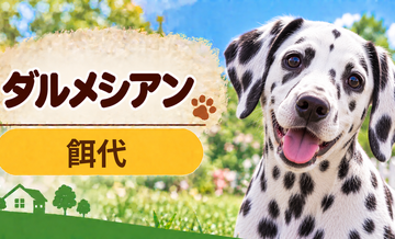 ダルメシアンの餌代は月いくら？体重からドッグフード代をシミュレーション