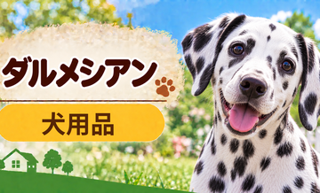 ダルメシアン向け犬用品の選び方｜ケージ・ベッド・ハーネスをまとめて確認