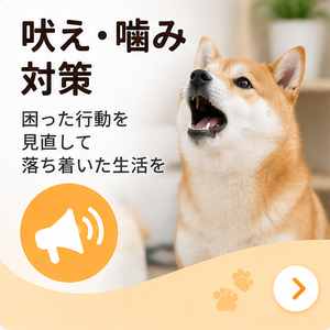 歯・口のお手入れ