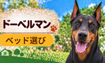 ドーベルマンのベッド選び｜体格・季節・洗いやすさで比較