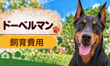 ドーベルマンを飼う費用はいくら？初期費用・年間費用・生涯費用を解説