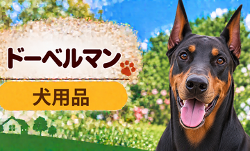 ドーベルマン向け犬用品の選び方｜ケージ・ベッド・ハーネスをまとめて確認