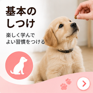 耳のお手入れ