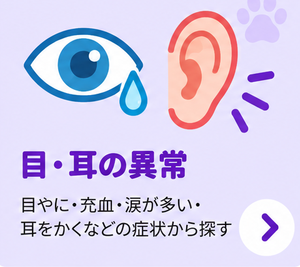 目・耳の異常