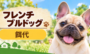 フレンチブルドッグの餌代は月いくら？体重からドッグフード代をシミュレーション