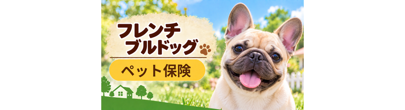 フレンチブルドッグのペット保険料はいくら？加入前に確認したい補償と費用