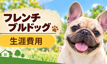 フレンチブルドッグの生涯費用はいくら？子犬からシニアまで長期で考える