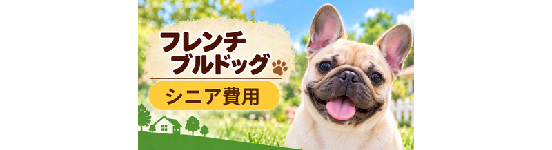 シニア期のフレンチブルドッグにかかる費用｜食事・医療・介護の準備