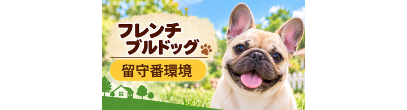 フレンチブルドッグの留守番環境を整える｜安全対策と便利グッズ
