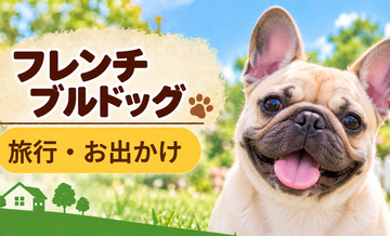 フレンチブルドッグと旅行するときの持ち物｜移動・宿泊で役立つ犬用品