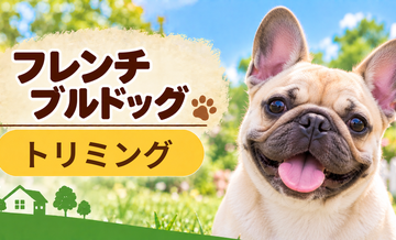 フレンチブルドッグのトリミング代はいくら？頻度と年間費用を計算