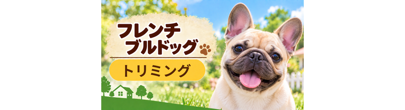 フレンチブルドッグのトリミング代はいくら？頻度と年間費用を計算