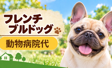 フレンチブルドッグの動物病院代は年間いくら？健康診断・予防・急な通院に備える