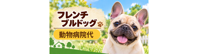 フレンチブルドッグの動物病院代は年間いくら？健康診断・予防・急な通院に備える