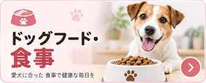 ドッグフード・食事