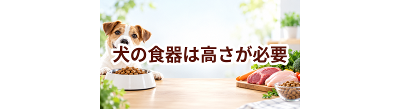 犬の食器は高さが必要？体格に合わせた選び方