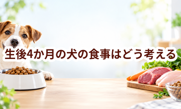 生後4か月の犬の食事はどう考える？量・回数・フード選びの基本