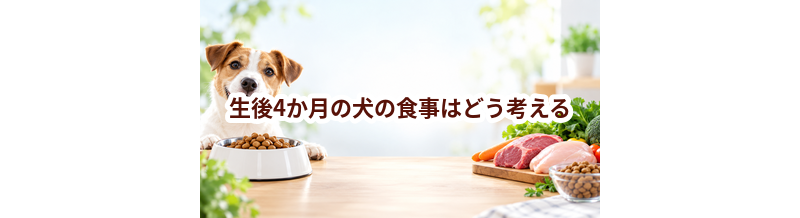 生後4か月の犬の食事はどう考える？量・回数・フード選びの基本