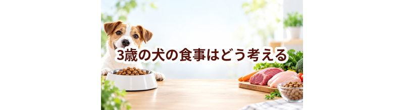 3歳の犬の食事はどう考える？量・回数・フード選びの基本