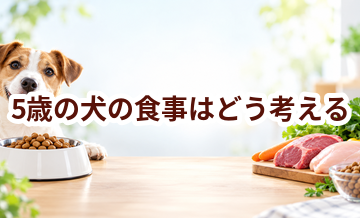 5歳の犬の食事はどう考える？量・回数・フード選びの基本
