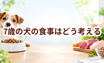 7歳の犬の食事はどう考える？量・回数・フード選びの基本