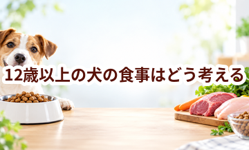 12歳以上の犬の食事はどう考える？量・回数・フード選びの基本