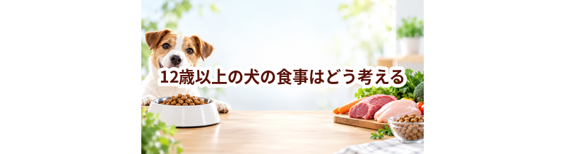 12歳以上の犬の食事はどう考える？量・回数・フード選びの基本