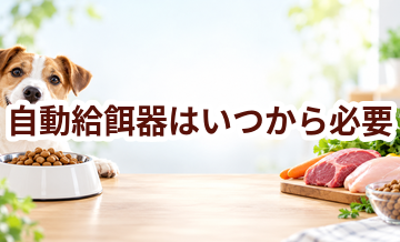 自動給餌器はいつから必要？使い始めるタイミングと選び方