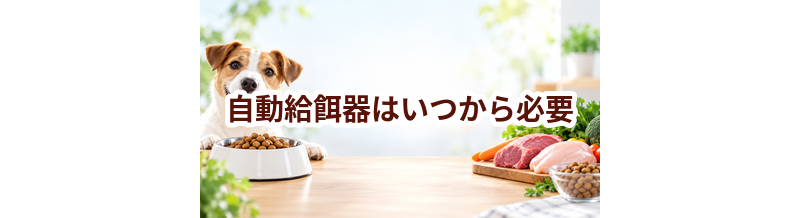 自動給餌器はいつから必要？使い始めるタイミングと選び方
