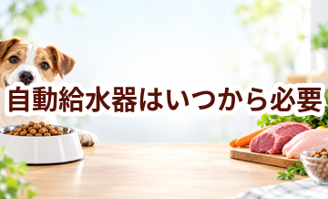 自動給水器はいつから必要？使い始めるタイミングと選び方