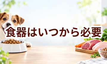 食器はいつから必要？使い始めるタイミングと選び方