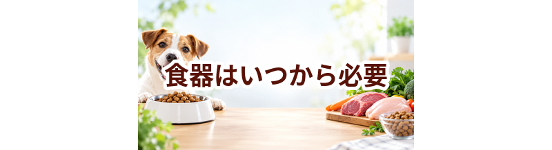 食器はいつから必要？使い始めるタイミングと選び方