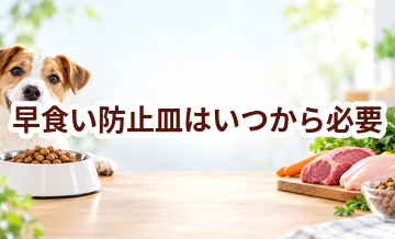 早食い防止皿はいつから必要？使い始めるタイミングと選び方