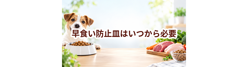 早食い防止皿はいつから必要？使い始めるタイミングと選び方