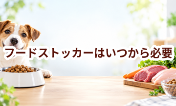 フードストッカーはいつから必要？使い始めるタイミングと選び方