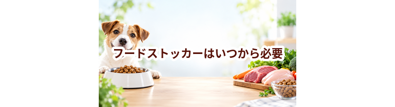 フードストッカーはいつから必要？使い始めるタイミングと選び方