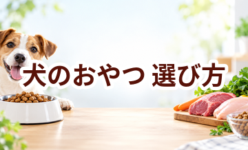 犬のおやつの選び方｜原材料・サイズ・カロリーを確認