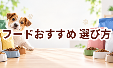 ドッグフードおすすめの選び方｜愛犬に合う1袋を見つける7つの基準