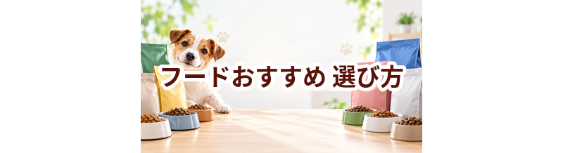 ドッグフードおすすめの選び方｜愛犬に合う1袋を見つける7つの基準