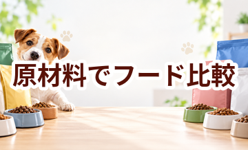 ドッグフードを原材料で比較するときのポイント｜数字だけで決めない選び方