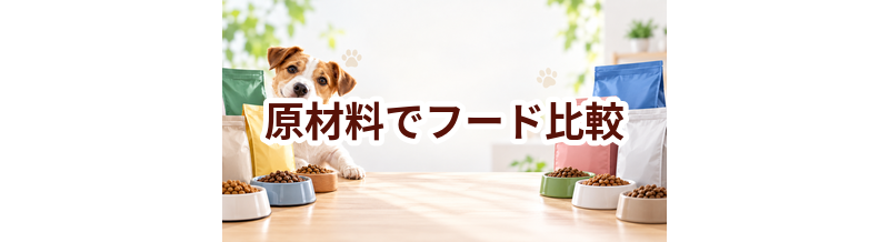 ドッグフードを原材料で比較するときのポイント｜数字だけで決めない選び方