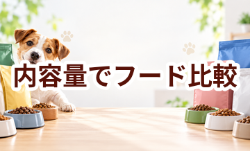 ドッグフードを内容量で比較するときのポイント｜数字だけで決めない選び方