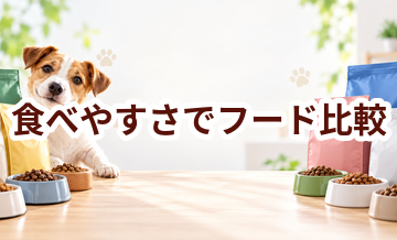 ドッグフードを食べやすさで比較するときのポイント｜数字だけで決めない選び方