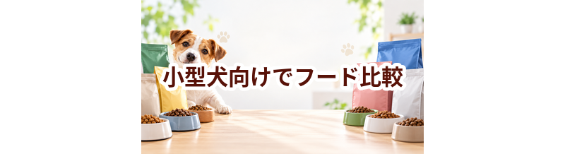 ドッグフードを小型犬向けで比較するときのポイント｜数字だけで決めない選び方