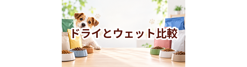 ドライとウェットどっちがいい？費用・保存・食べやすさを比較