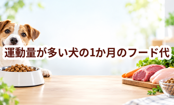 運動量が多い犬の1か月のフード代はいくら？体重と給餌量から計算