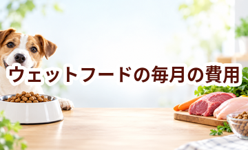 ウェットフードの毎月の費用はいくら？ドライとのコスト差を計算