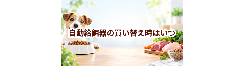 自動給餌器の買い替え時はいつ？安全に使うためのチェックポイント