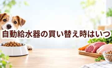 自動給水器の買い替え時はいつ？安全に使うためのチェックポイント