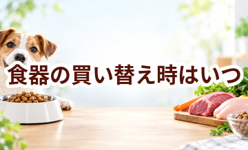 食器の買い替え時はいつ？安全に使うためのチェックポイント